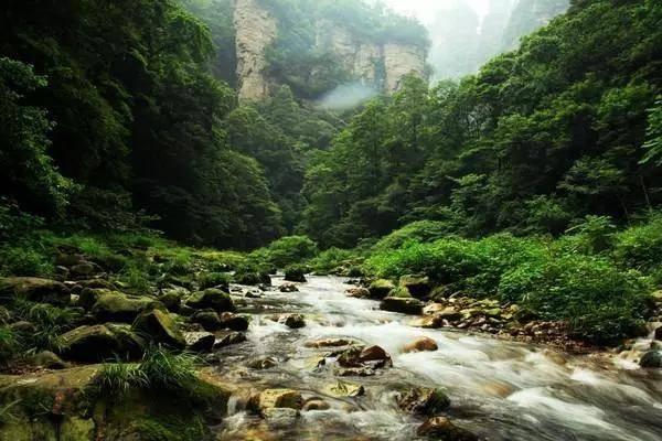 到底是美国亚马逊给海淘客劣等货，还是淘宝卖家撒谎游戏画面